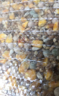 CHICKEN PIGEON DUCK SEED FEED $45 Pickering 