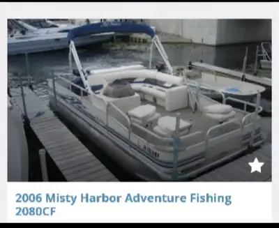 Pontoon boat with heavy duty trailer, new custom made mooring cover. Excellent condition, low hours....
