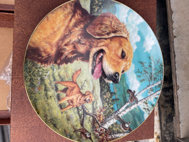 Collectable plates  in Arts & Collectibles in Sault Ste. Marie - Image 3