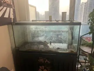 90 Gallon Aquarium, lids, Cannister Filter and marine salt, View more
