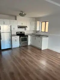 2 bedroom basement suite for rent - Newly Renovated!