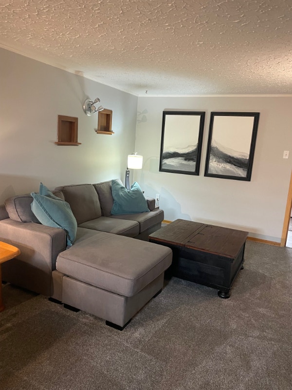 FURNISHED 2 Bed, 1 bath Basement suite Long Term Rentals Red Deer