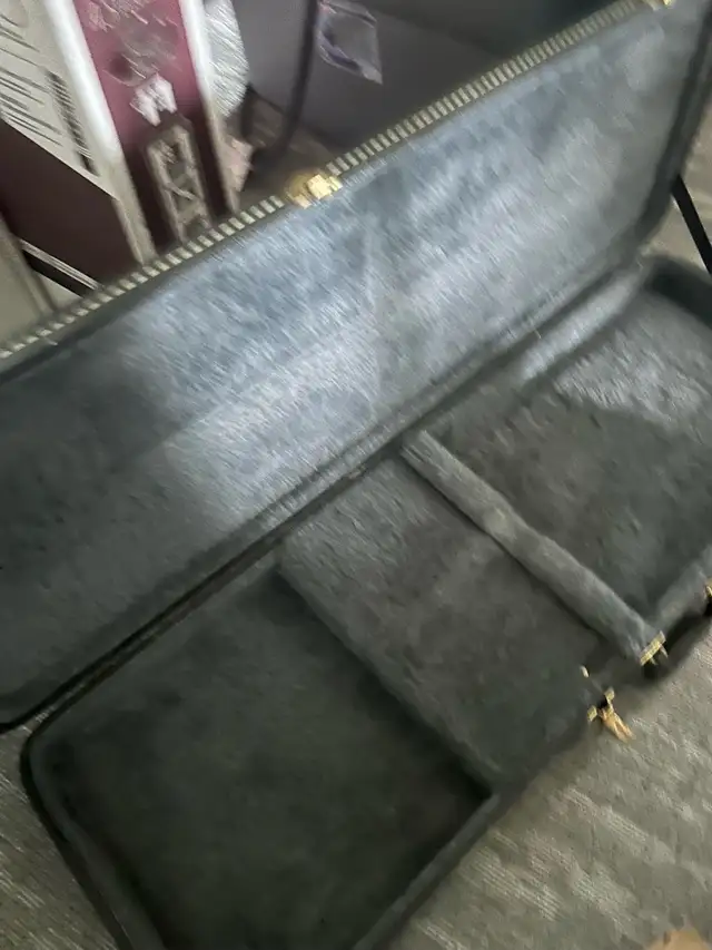 electric guitar case511719597367644161
