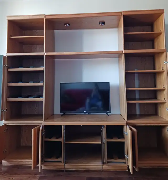 Wall unit (TV not included) in TV Tables & Entertainment Units in Ottawa - Image 3