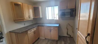 Newly renovated apartment for rent close to shops, groceries and restaurants in Hamilton East near M...