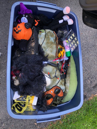 Lot of Halloween decorations and costumes 