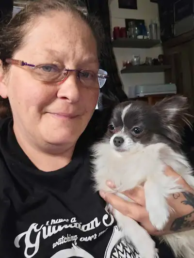 He goes by the name Lux aka Luxybaby, Year old long haired chihuahua, male all shots up to date, he...