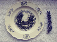 Collector plate Bruton Parish Church by Wedgwood & Barlaston