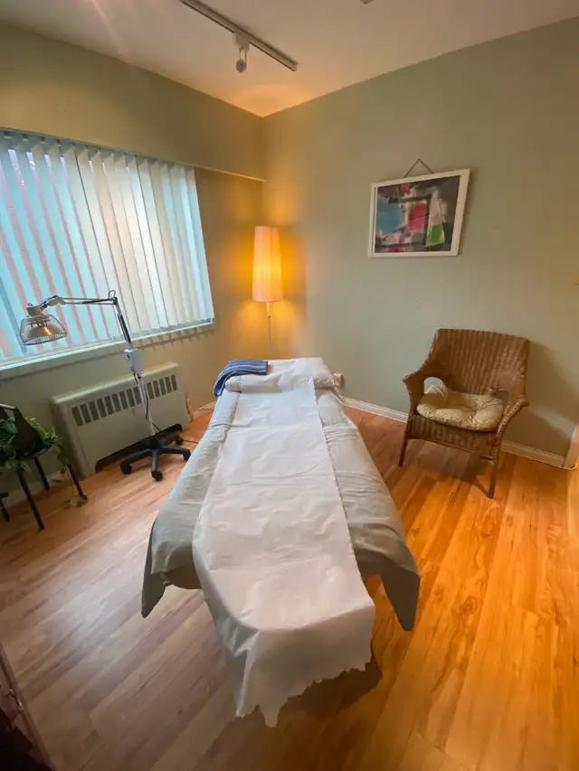 PAIN RELIEF | CHINESE  PLASTER THERAPY628632273754901211