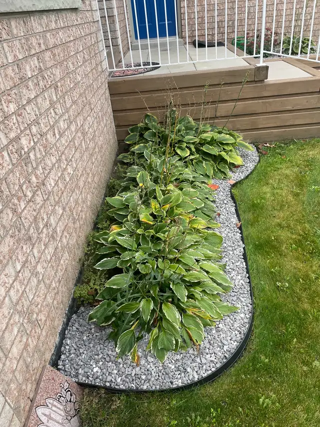 High Quality Grass Cutting and Property Maintenance in Barrie in Snow Removal & Property Maintenance in Barrie - Image 8