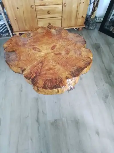 Sublimez votre salon avec cette table basse artisanale en tranche de tronc d'arbre naturel, dotée d'...