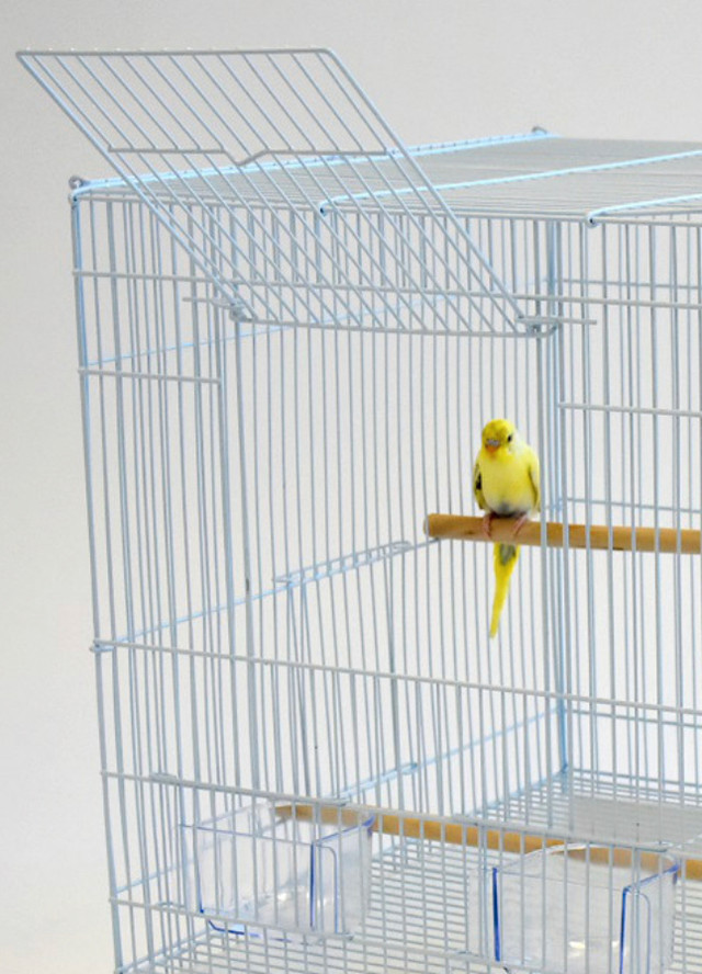 Oiseaux Double cage d’élevage reproduction/ bird breeding cage dans Oiseaux à adopter  à Ville de Montréal - Image 4