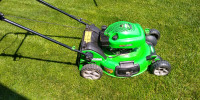 lawn boy mower