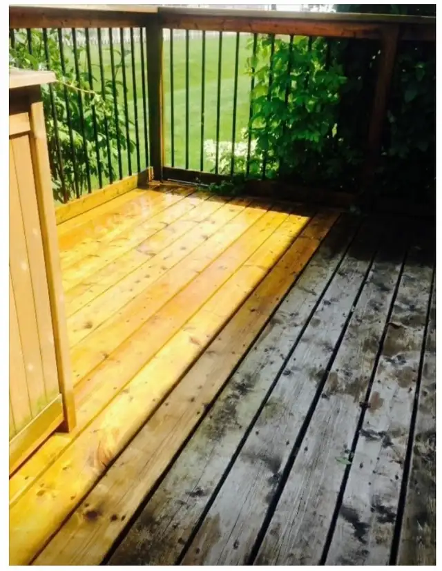 pro Painter - Semi Retired 531194423207546887