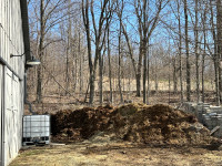 Free Garden Manure