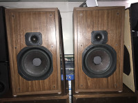 Rare, Avid Model 110 Speakers, Pair, Made In USA, 1979