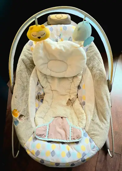 Needs Battery (Not Included) This amazing bouncer seat has an automatic bouncing feature designed to...