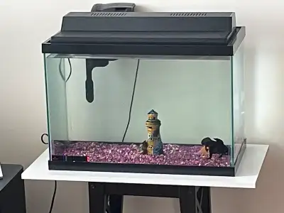 Well maintained Aquaruim 20 gallons, come with all, call me for more details
