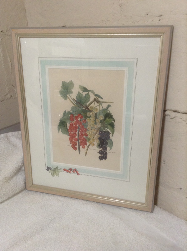 Framed Fruit Prints in Arts & Collectibles in City of Toronto - Image 3