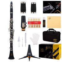 New Clarinet, Bb with case, reeds, mouthpiece