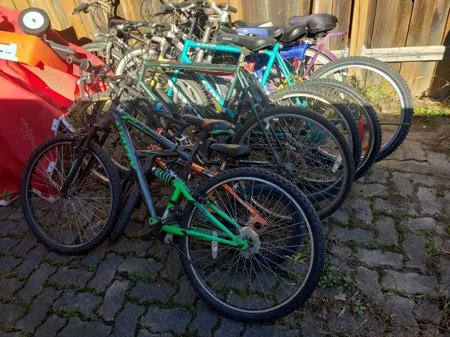 Bikes Bikes Bikes