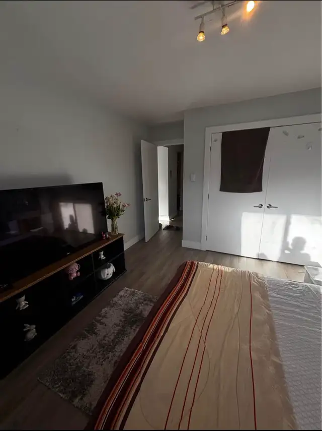 Private Room for rent in Room Rentals & Roommates in Dartmouth - Image 3