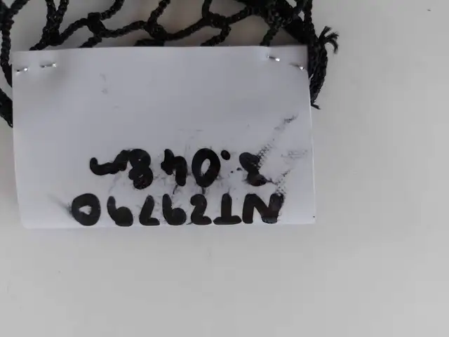 Golfing net62863274620418122