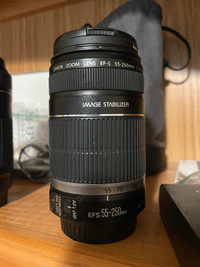 New Canon55-250mm much better than 75-300 telescope lens
