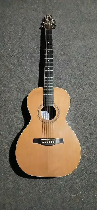 Seagull Coastline Grand Parlour  acoustic (Project, needs work), View more