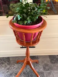 SOLID WOOD ROTATING PLANT STAND & CHRISTMAS CACTUS PLANT