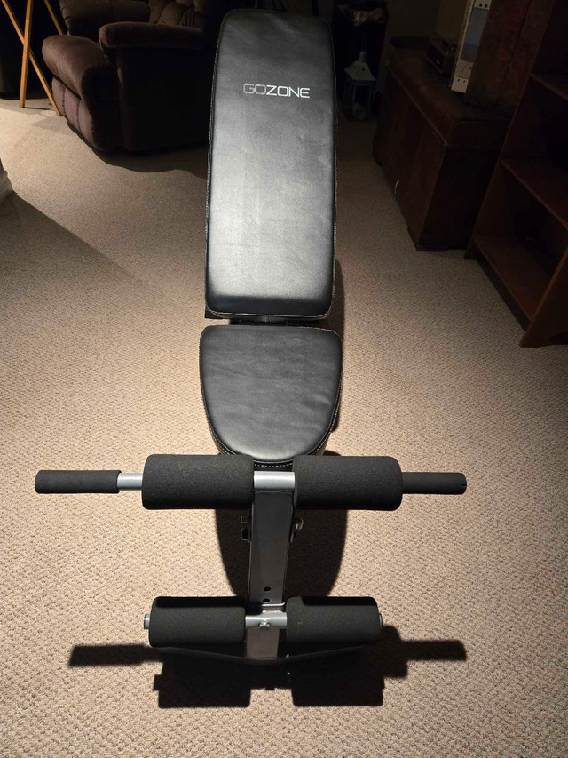 Gozone workout bench in Exercise Equipment in Ottawa - Image 2