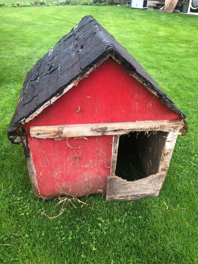Doghouse - for Medium to Large Dog  in Other in Norfolk County