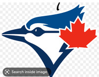 Toronto Blue Jays !