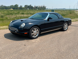 2003 Ford Thunderbird
