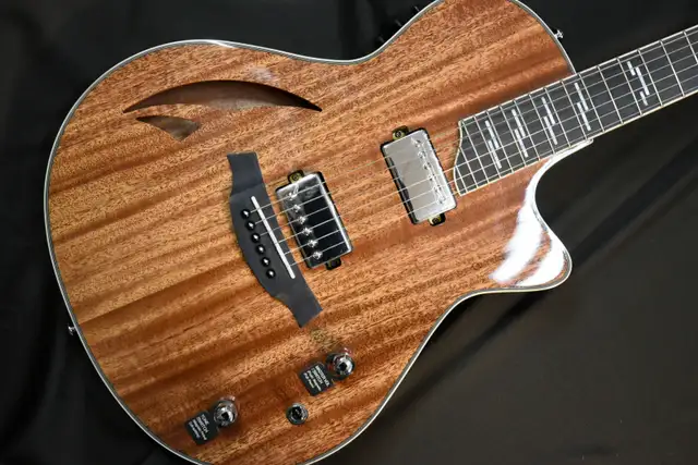 CARAYA MULTISPECIALIST III GUITAR in Guitars in Dartmouth - Image 2