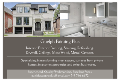 Painting, Walls, Ceilings, Restore Wood, Metal, Cement, View more