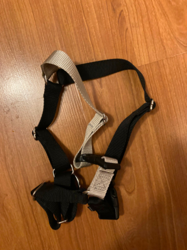 3 dog harnesses in Accessories in Edmonton - Image 2