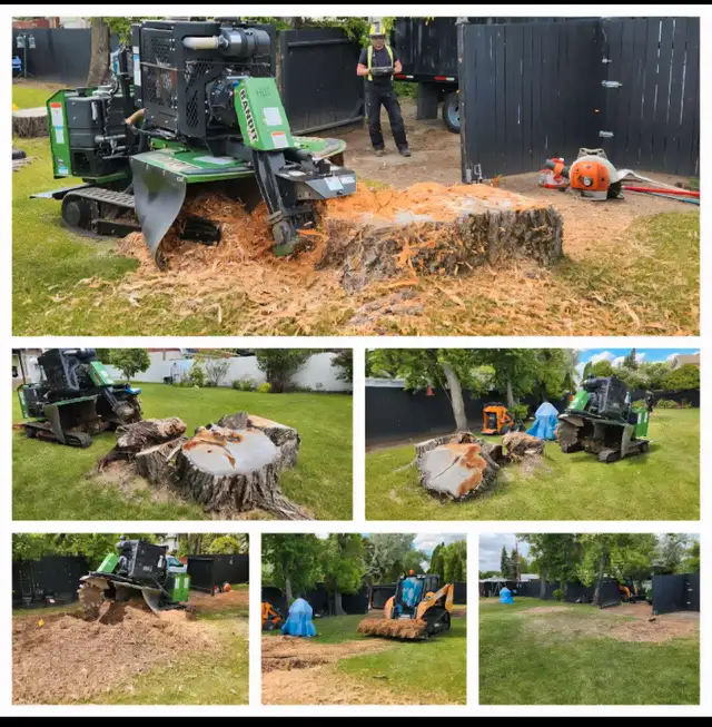 Quality Low Cost Stump Grinding 63848994216963122
