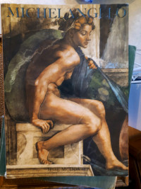 Michelangelo  by Jesse Donald  Book