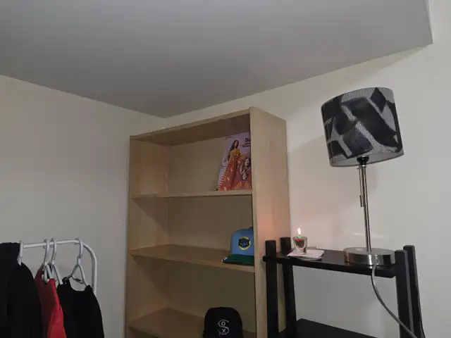 Bedroom in a shared basement | Leslieville Area