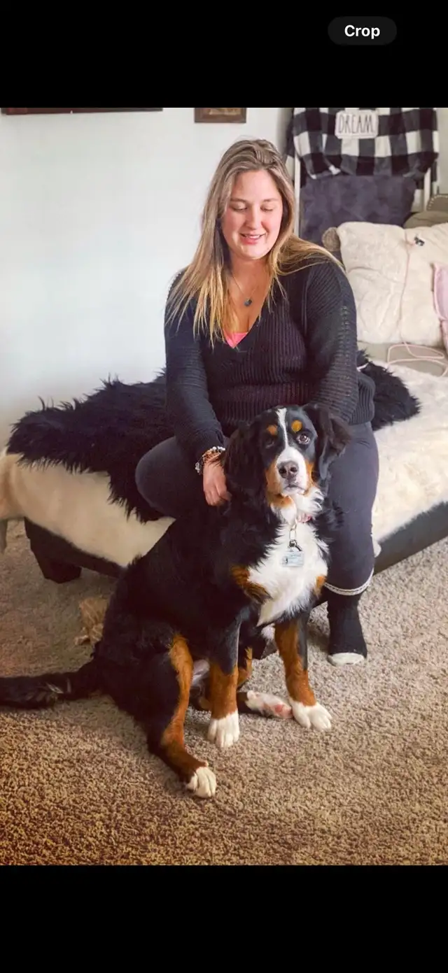 House Sitter/Rental in Alberta in Canada - Image 2