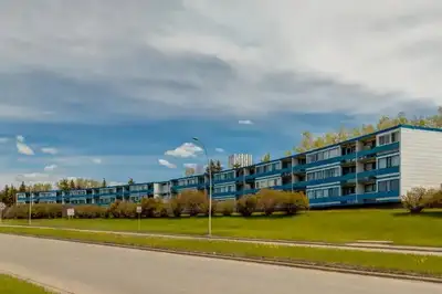 Renovated 1BR apt near Foothills Hospital, SAIT and U of C