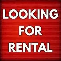 Looking for renting