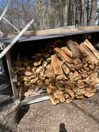 Cedar firewood, split and dried 2 years