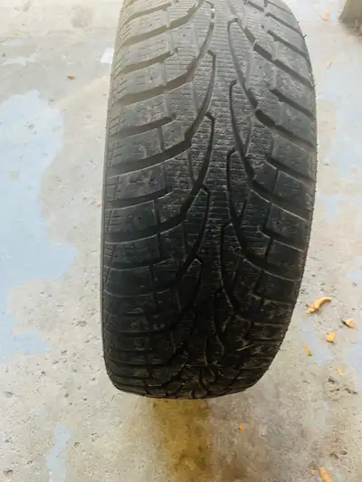Winter tire used uniroyal brand