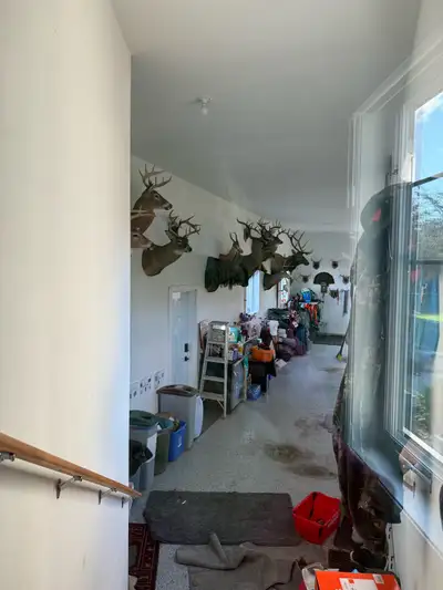 cleaning , View more