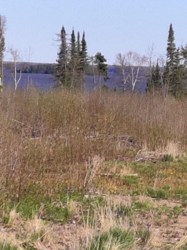 Future Development lake front lots for sale Land for Sale