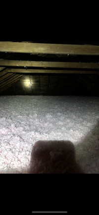 Attic  insulation service, upgrade , removal , affordable price