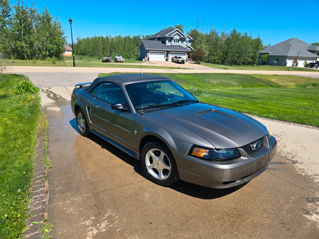 2001 Ford Mustang Convertible in Cars & Trucks in Edmonton - Image 3