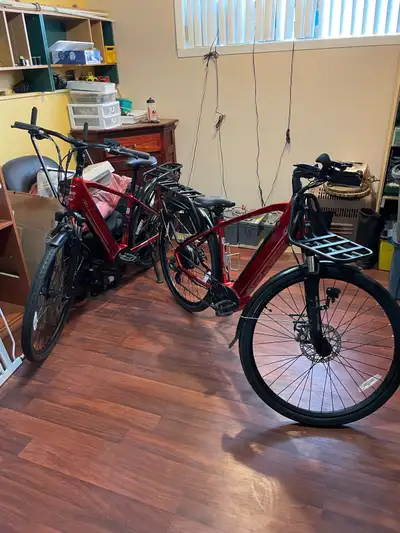 Vélo ( 2 disponibles) à assistance électrique IGO Élite 3D, View more